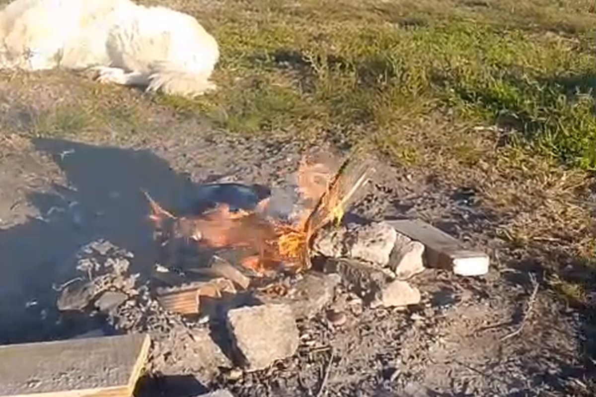 Trabajo de campo en un entorno rural